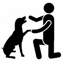 Succes4dogs